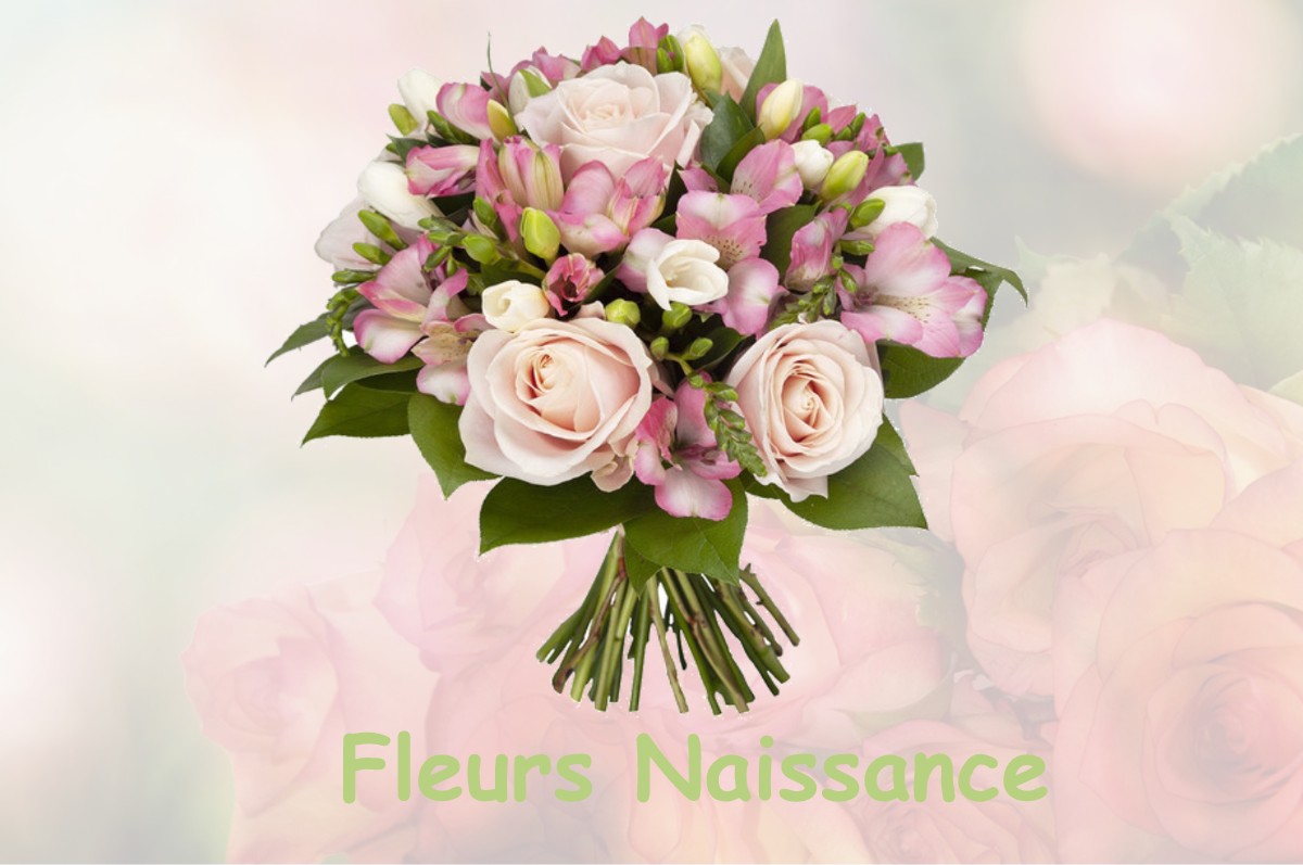 fleurs naissance SAINT-PAUL-SUR-SAVE