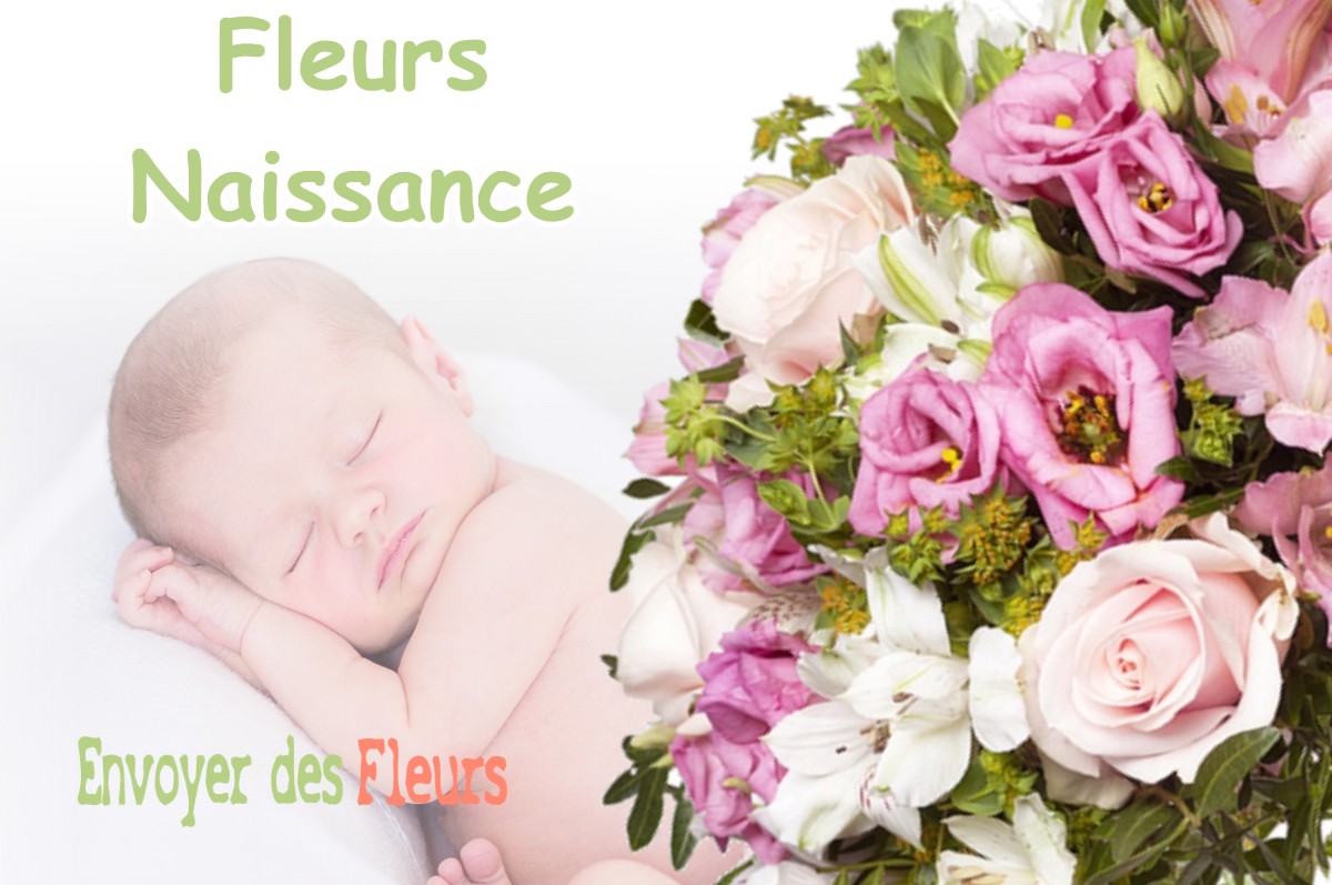 lIVRAISON FLEURS NAISSANCE à SAINT-PAUL-SUR-SAVE